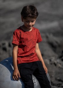 T-shirt z wilkiem WOLF PRINT ceglany  Mash MNIE 